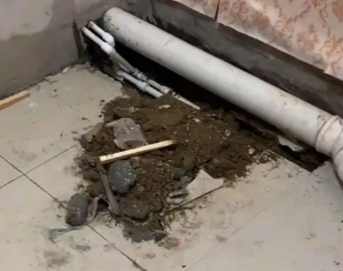 措勤卫生间漏水检测哪家好